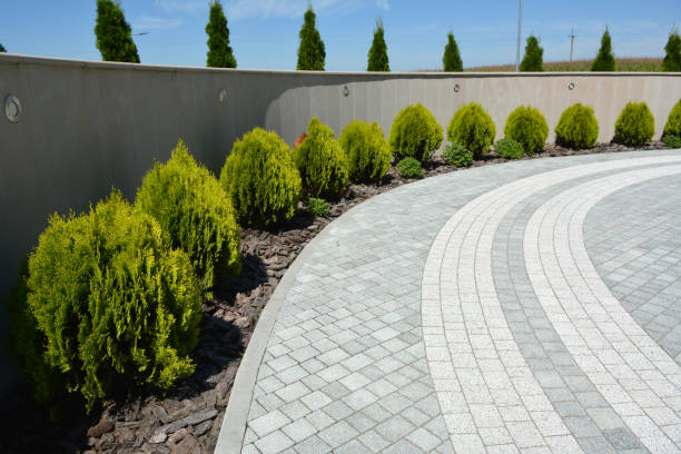Best Driveway Repair Near Me  in Rock Springs, WY